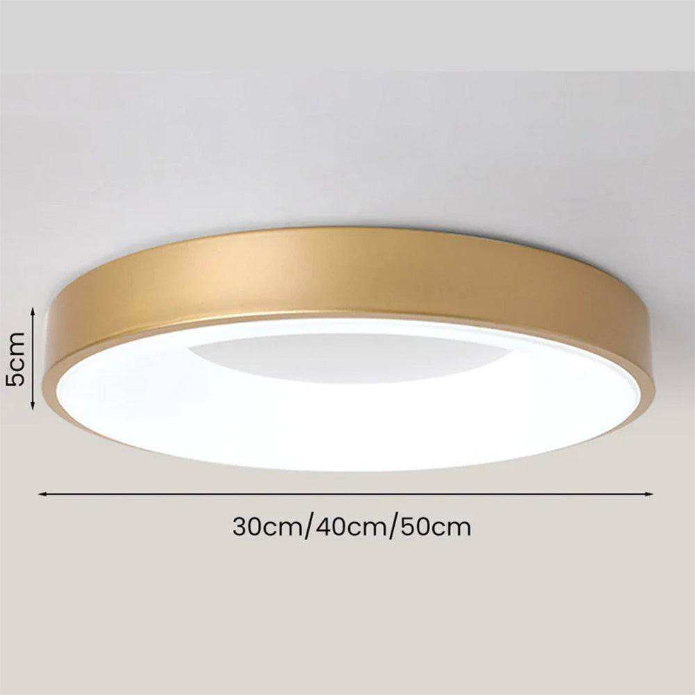 Deckenleuchten LED Acryl Einfache Dimmbar 30/40/50cm