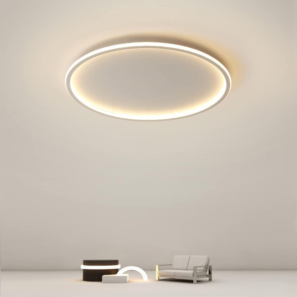 Moderne Einfach 50cm Dimmbare LED-Deckenleuchte