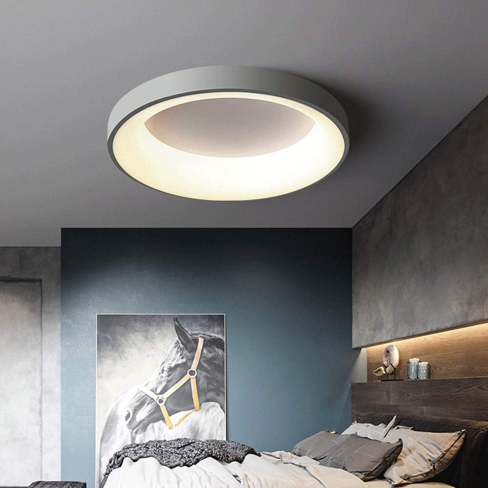 Deckenleuchten LED Acryl Einfache Dimmbar 30/40/50cm