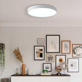 Moderne Led Deckenleuchte 23/30/40/50cm Für Wohnzimmer