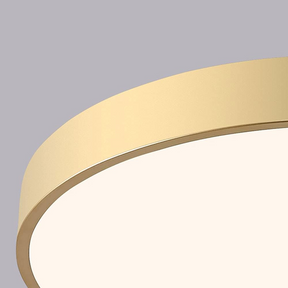 Moderne Led Deckenleuchte 23/30/40/50cm Für Wohnzimmer