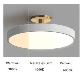 LED Runde Deckenleuchte Hardware Acryl 30CM Dimmbar per Fernbedienung