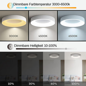 Deckenleuchten LED Acryl Einfache Dimmbar 30/40/50cm