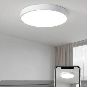 Moderne Led Deckenleuchte 23/30/40/50cm Für Wohnzimmer