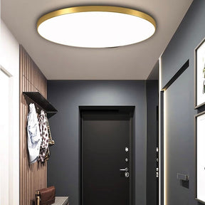 Runde LED Wohnzimmer Deckenleuchten Dimmbar 20/30/37/45cm