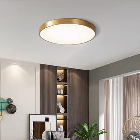 Moderne Led Deckenleuchte 23/30/40/50cm Für Wohnzimmer