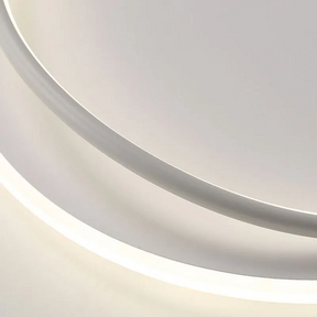 Moderne LED Deckenleuchten Eisen 40/50cm Dimmbar